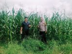IMG-20260519-WA0016
