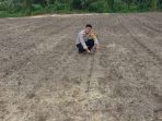 IMG-20260520-WA0010
