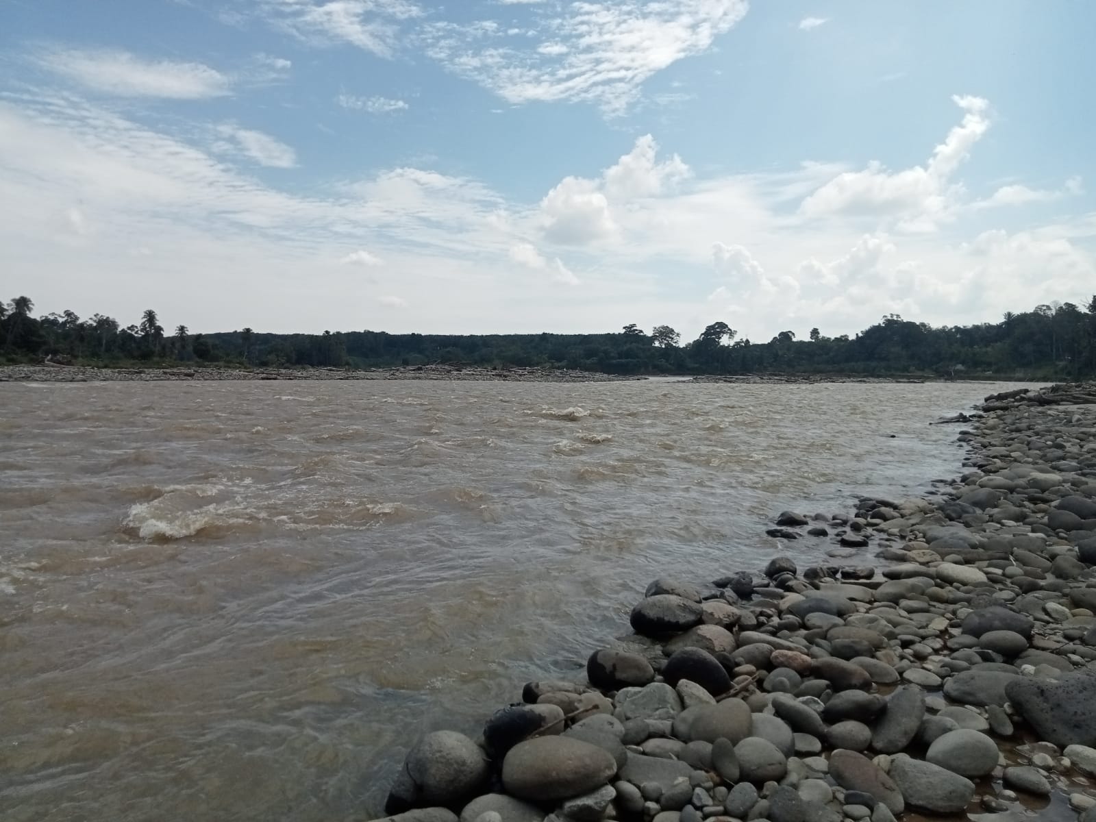 IMG-20260706-WA0095